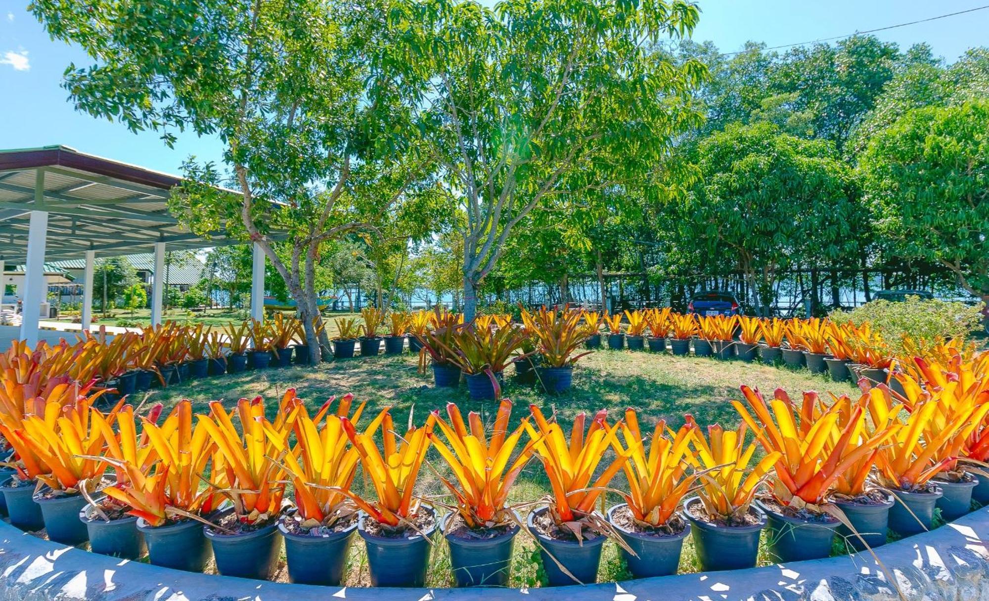 Meena Resort Chanthaburi Exterior foto